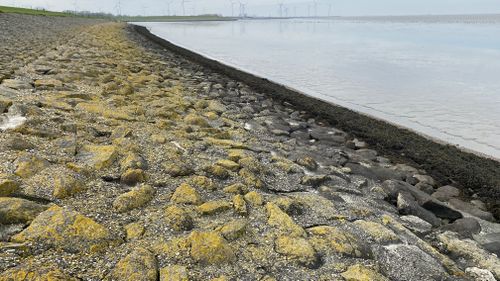 breuksteen-asfalt, zeedijk nabij Termunterzijl