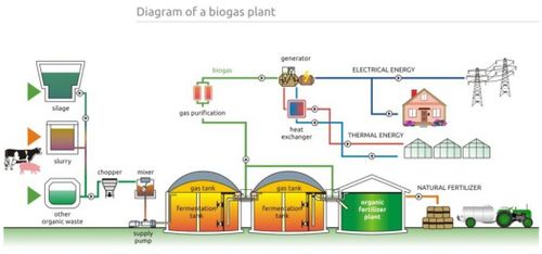 diagram biogasinstallatie